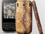 palmpixi3.jpg palmpixi3.jpg