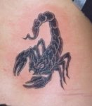 scorpio tattoo.jpg