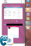 WindowsLiveMessenger2010_5.png