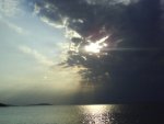 DSC01342.jpg