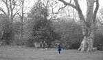 DSCI0024 (2) - bw 2.jpg