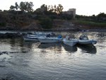 100_8450.JPG 100_8450.JPG