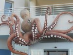 DSCN1145.jpg DSCN1145.jpg