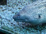 DSCN1194.jpg DSCN1194.jpg