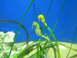 DSCN1228.jpg DSCN1228.jpg
