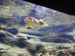 DSCN1314.jpg DSCN1314.jpg