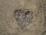 100_2950.jpg