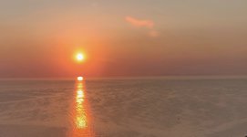 IMG_20220409_134725.jpg