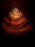 Light Christmas Tree.jpg Light Christmas Tree.jpg