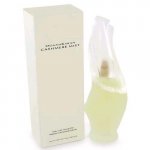 DKNY_CashmereMist-W500.jpg DKNY_CashmereMist-W500.jpg