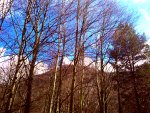 030120102589.jpg 030120102589.jpg