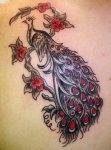 Peacock Tattoo Designs2.jpg