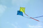 18_21_4---Kite_web.jpg