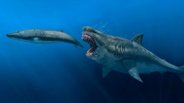 17tb-megalodon-videoSixteenByNine3000.jpg