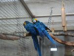 DSC01564.JPG