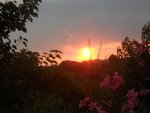 DSCN2401.JPG