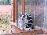 DSCN3237.JPG DSCN3237.JPG