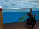 DSCN3302.JPG DSCN3302.JPG