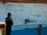 DSCN3304.JPG DSCN3304.JPG