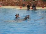 DSCN3317.JPG DSCN3317.JPG