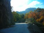DSCN1129.JPG DSCN1129.JPG