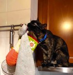 6371631359.jpg 6371631359.jpg