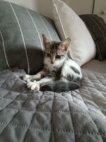 viber_image_2023-10-16_09-57-01-842.jpg viber_image_2023-10-16_09-57-01-842.jpg