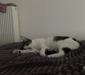 IMG_6715.jpeg IMG_6715.jpeg