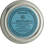 20210331161421_apivita_pastilles_eykalyptos_propoli_45gr.jpeg