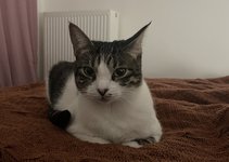 IMG_6842.jpeg IMG_6842.jpeg