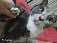 IMG_20230518_230209.jpg IMG_20230518_230209.jpg