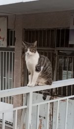 IMG_20231102_172458.jpg IMG_20231102_172458.jpg