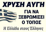 xafv5.jpg xafv5.jpg