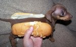 1325614009-hot-dog.jpg
