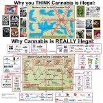 cannabisandcapitalism.jpg