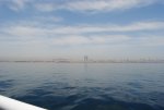 DSC_0794.jpg DSC_0794.jpg