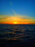 DSC00198.jpg