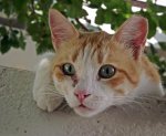 DSCF2521.JPG