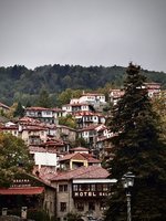 IMG_1068.jpeg