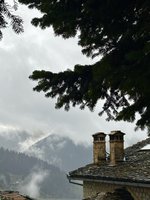 IMG_1062.jpeg