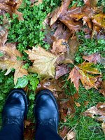 IMG_1051.jpeg