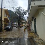 IMG_20250329_165131.jpg