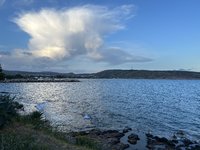 IMG_2240.jpeg