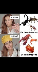 1000056308.jpg