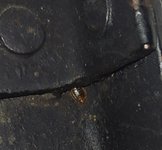 IMG_20250423_020833.jpg