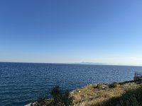IMG_2656.jpeg