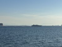 IMG_2664.jpeg