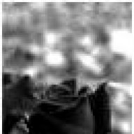 Blacky