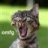 MadCatMk2