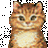 βαγια